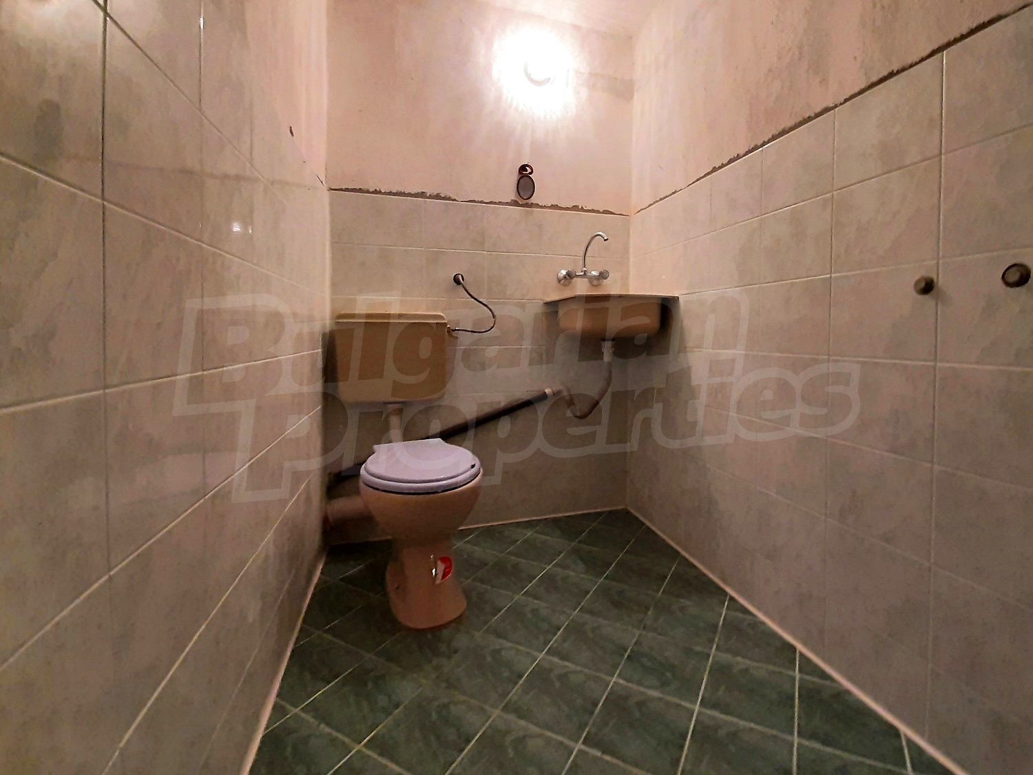 Gallery Picture 17