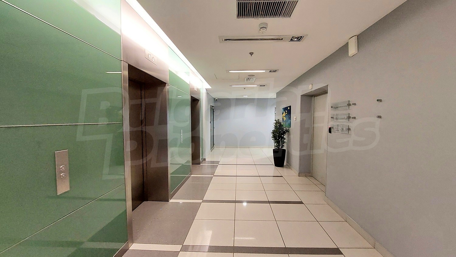 Gallery Picture 14