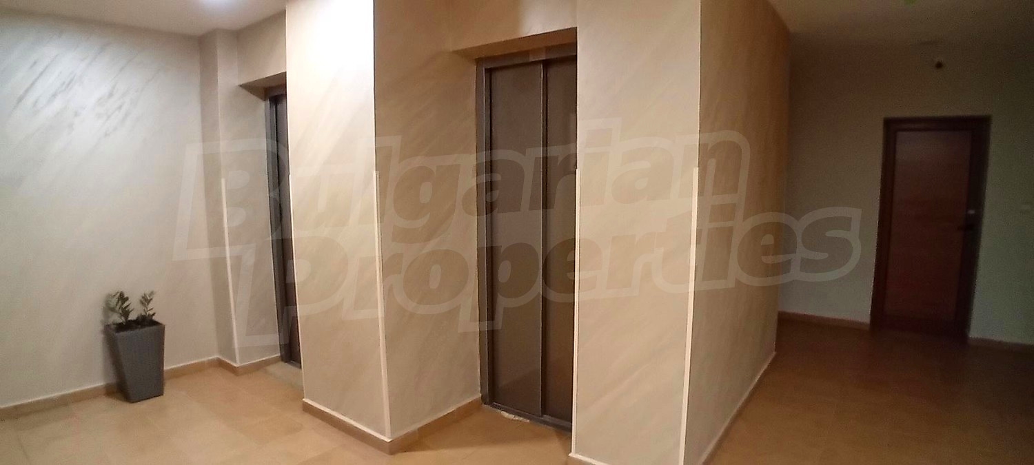Gallery Picture 29
