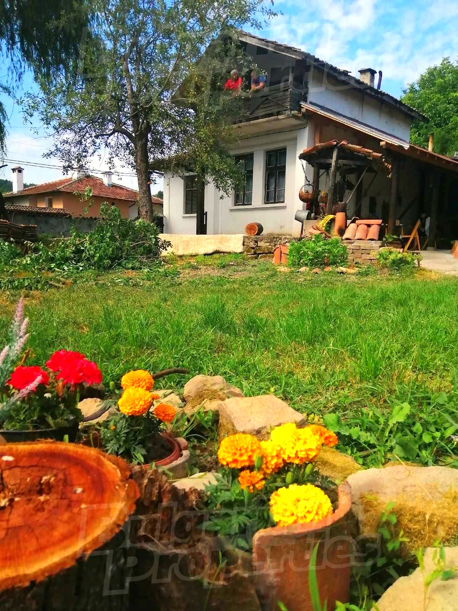 Gallery Picture 6
