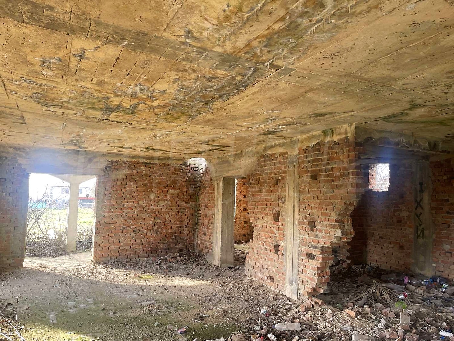 Gallery Picture 8
