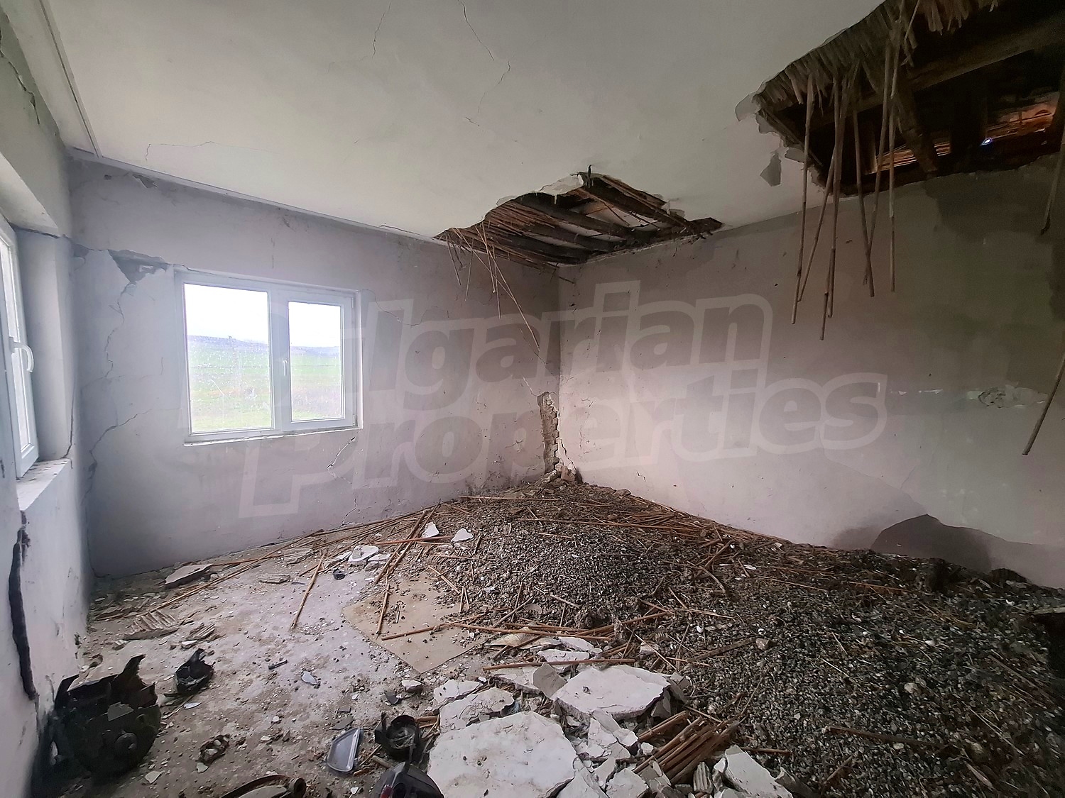 Gallery Picture 15