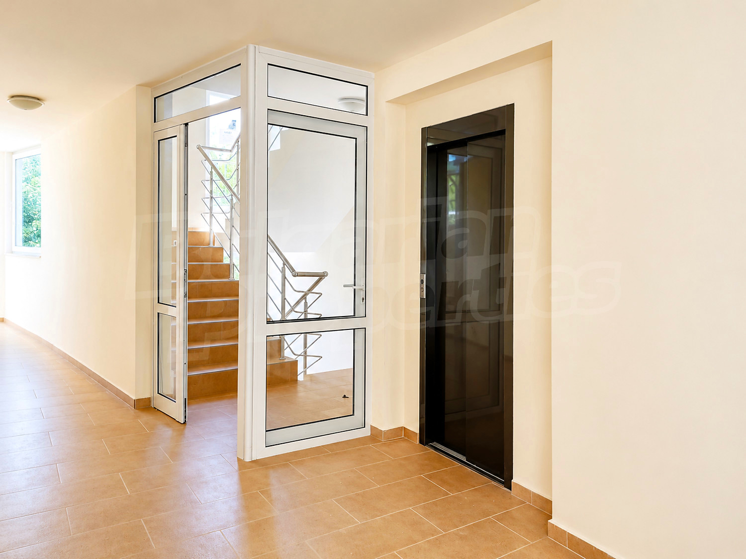 Gallery Picture 10