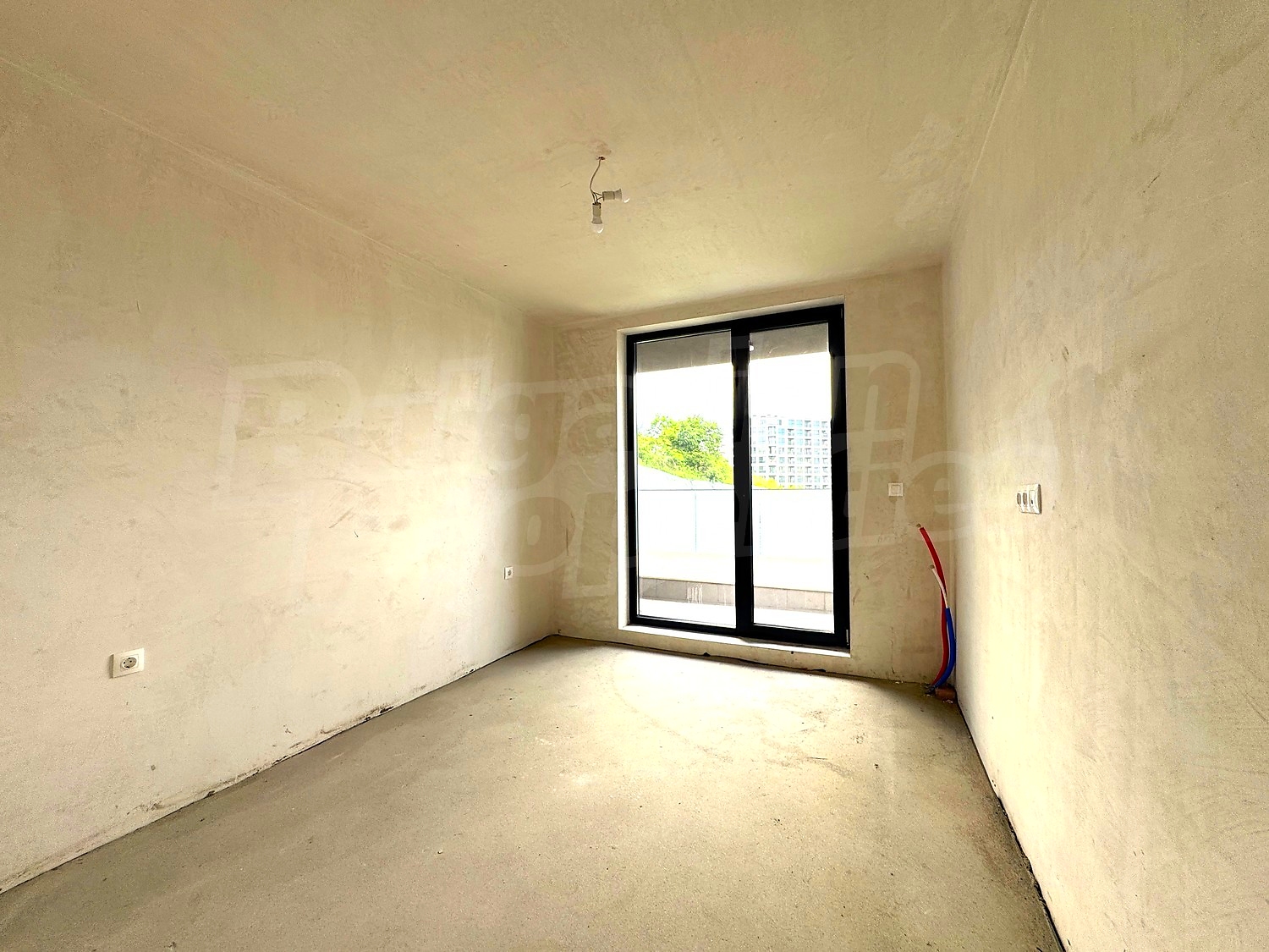Gallery Picture 11