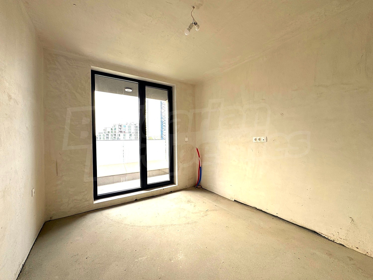 Gallery Picture 12