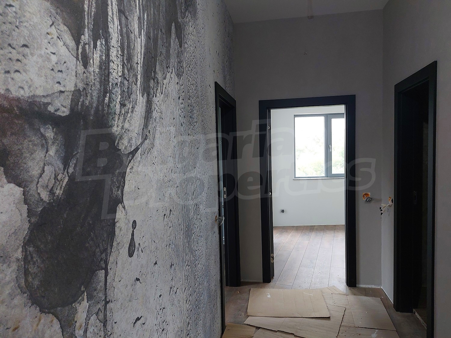 Gallery Picture 39