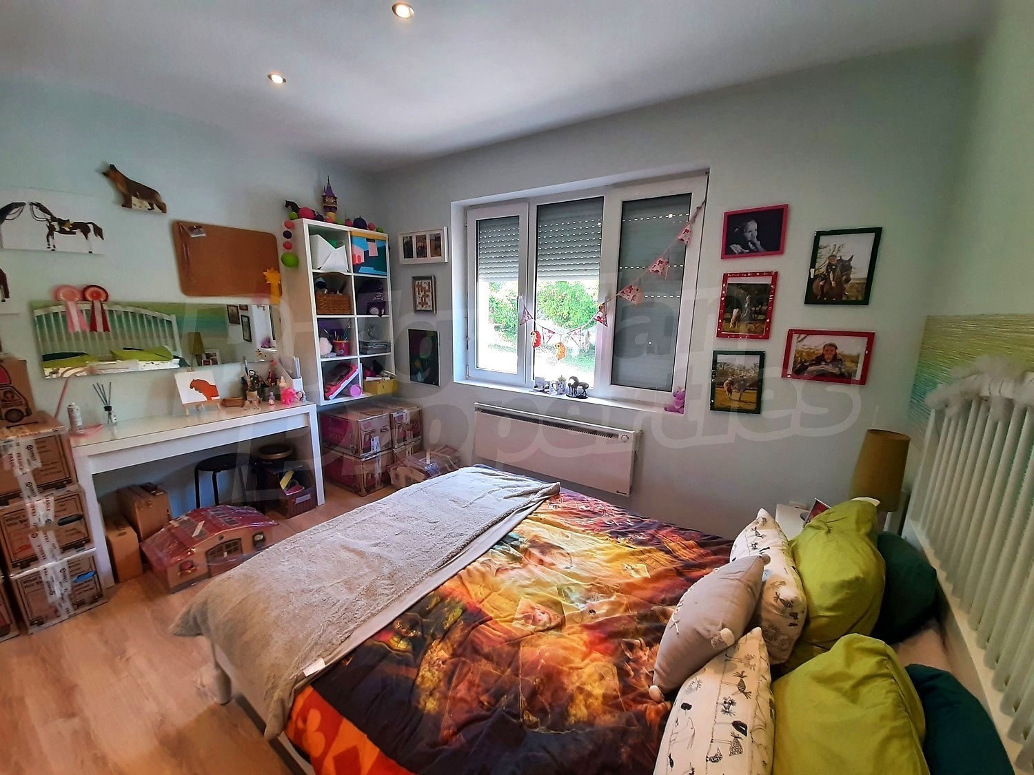 Gallery Picture 58