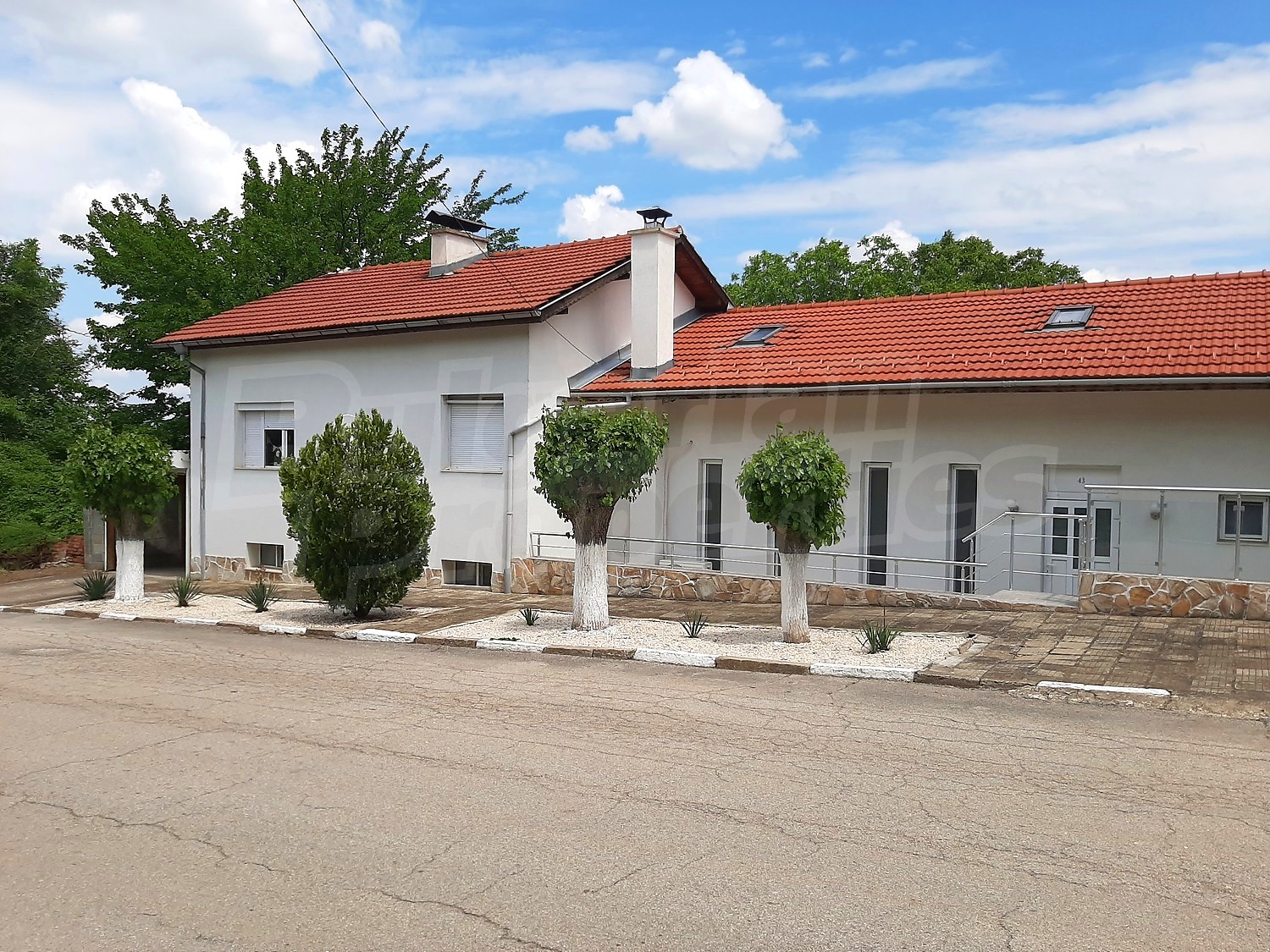 Gallery Picture 84