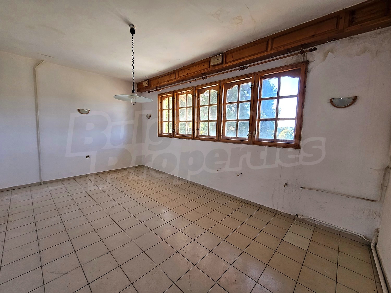 Gallery Picture 12