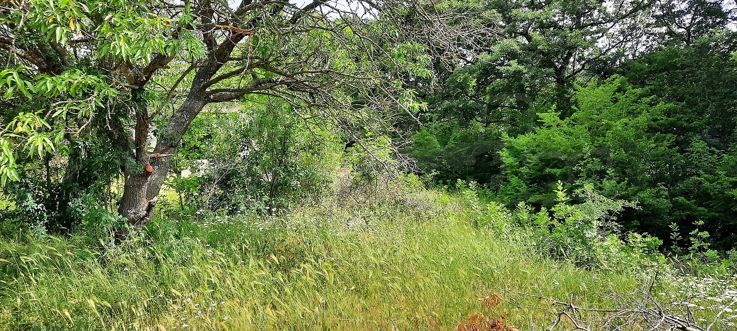 Gallery Picture 9