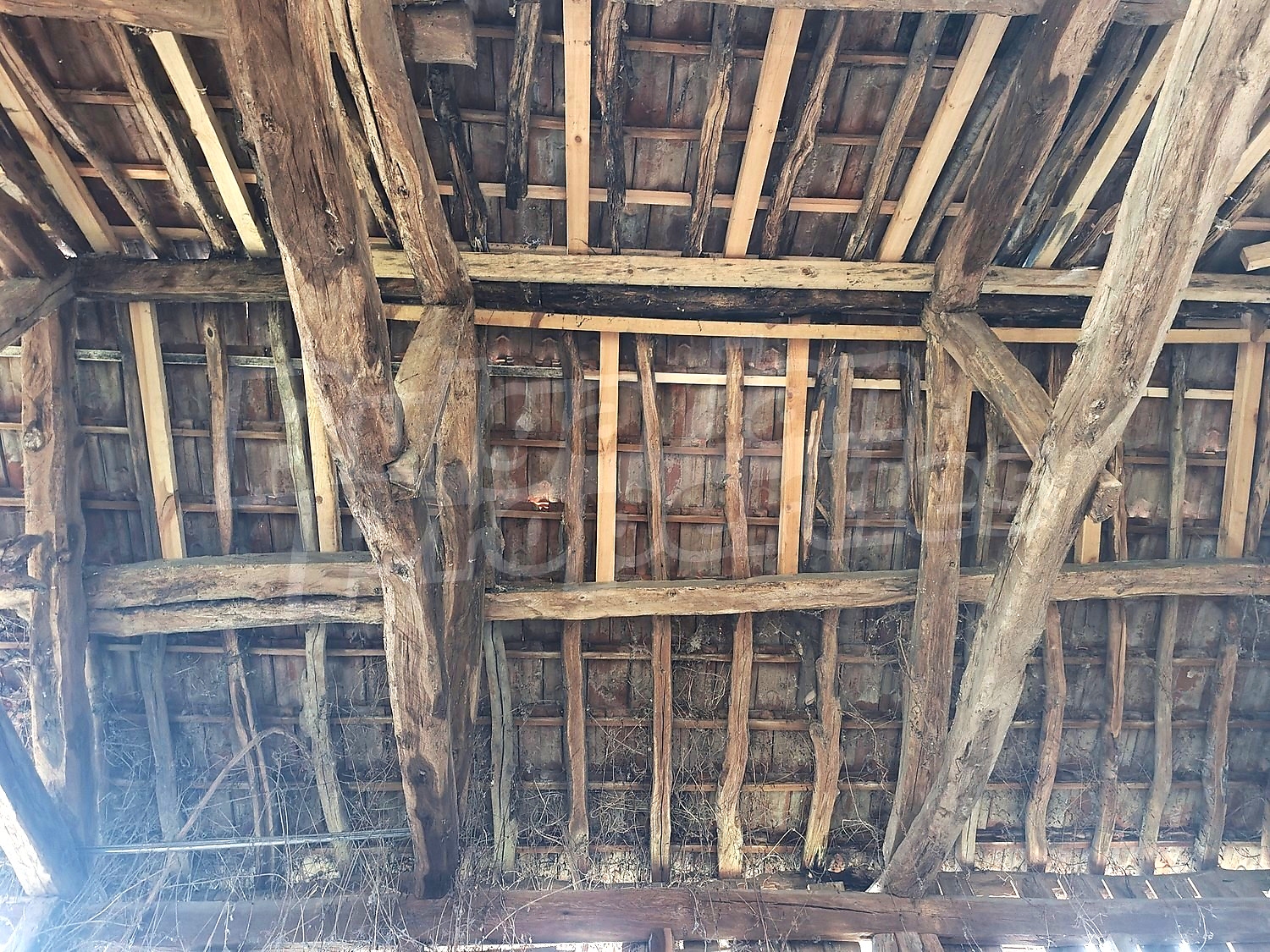 Gallery Picture 39