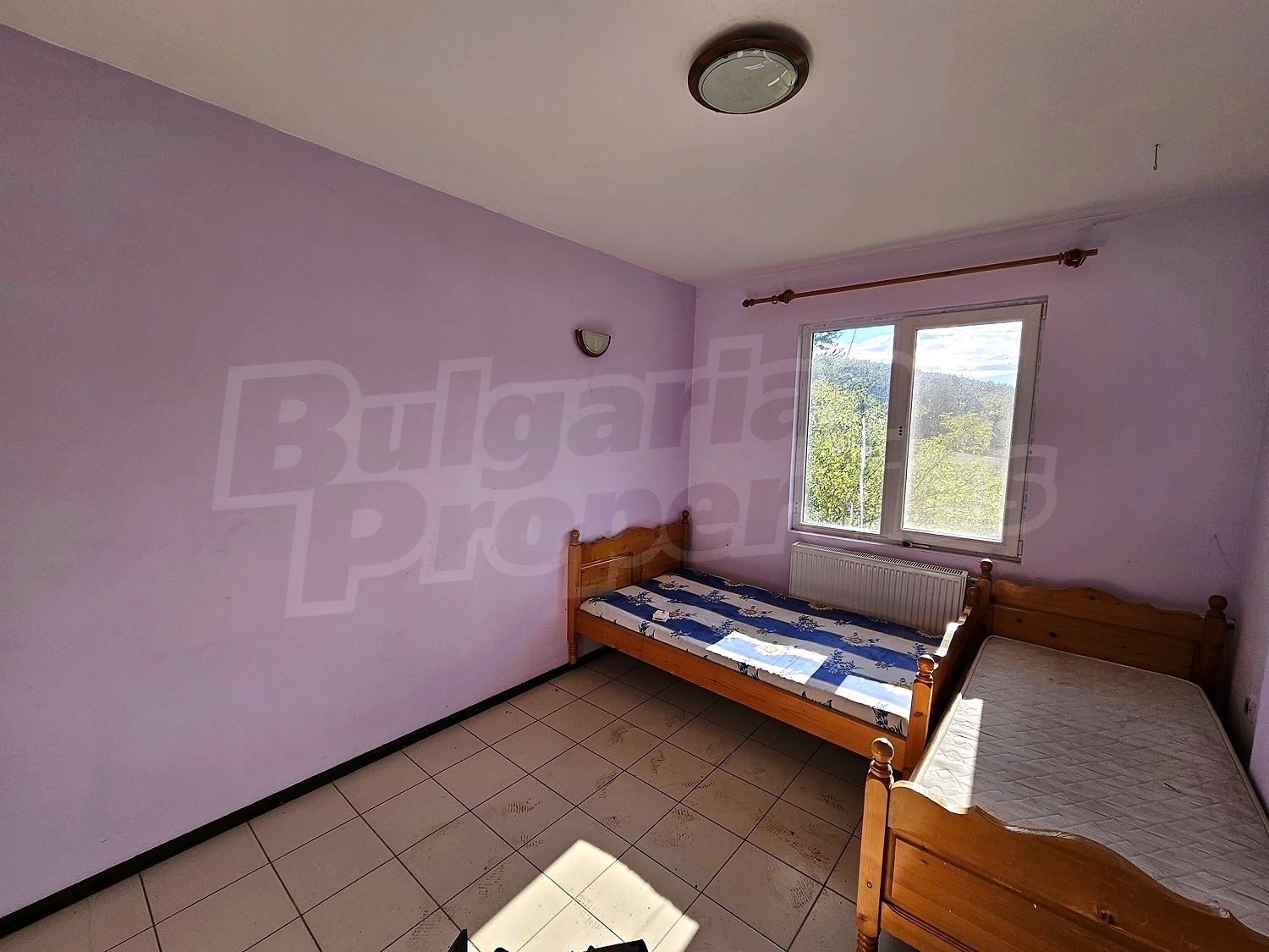 Gallery Picture 29