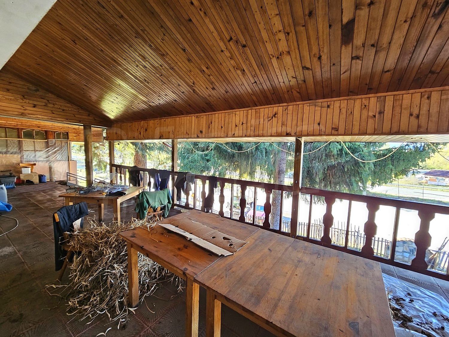Gallery Picture 44