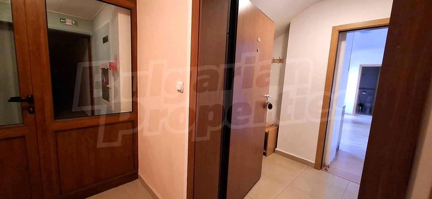 Gallery Picture 19