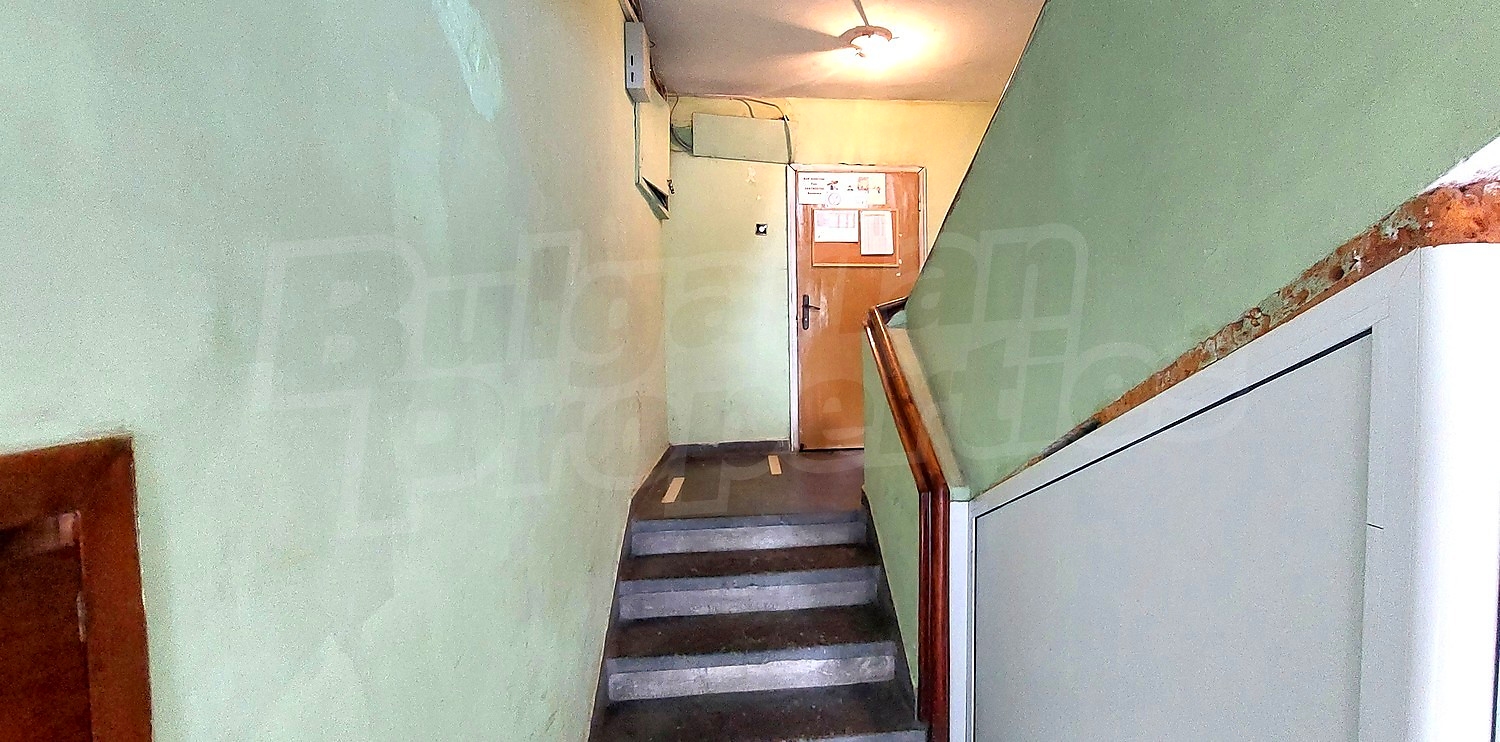 Gallery Picture 43