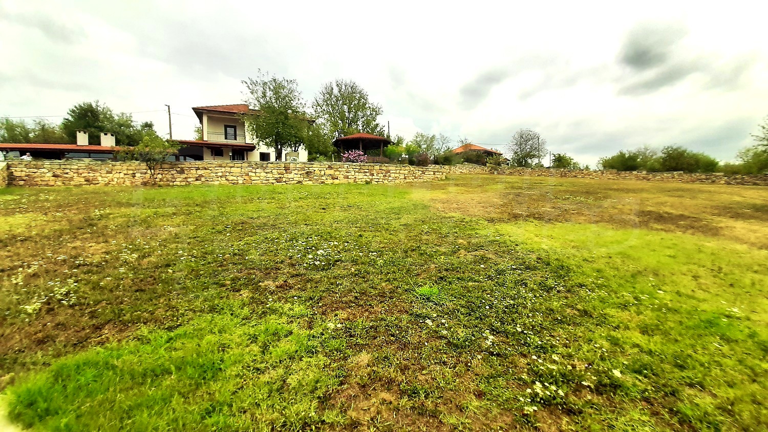 Gallery Picture 30