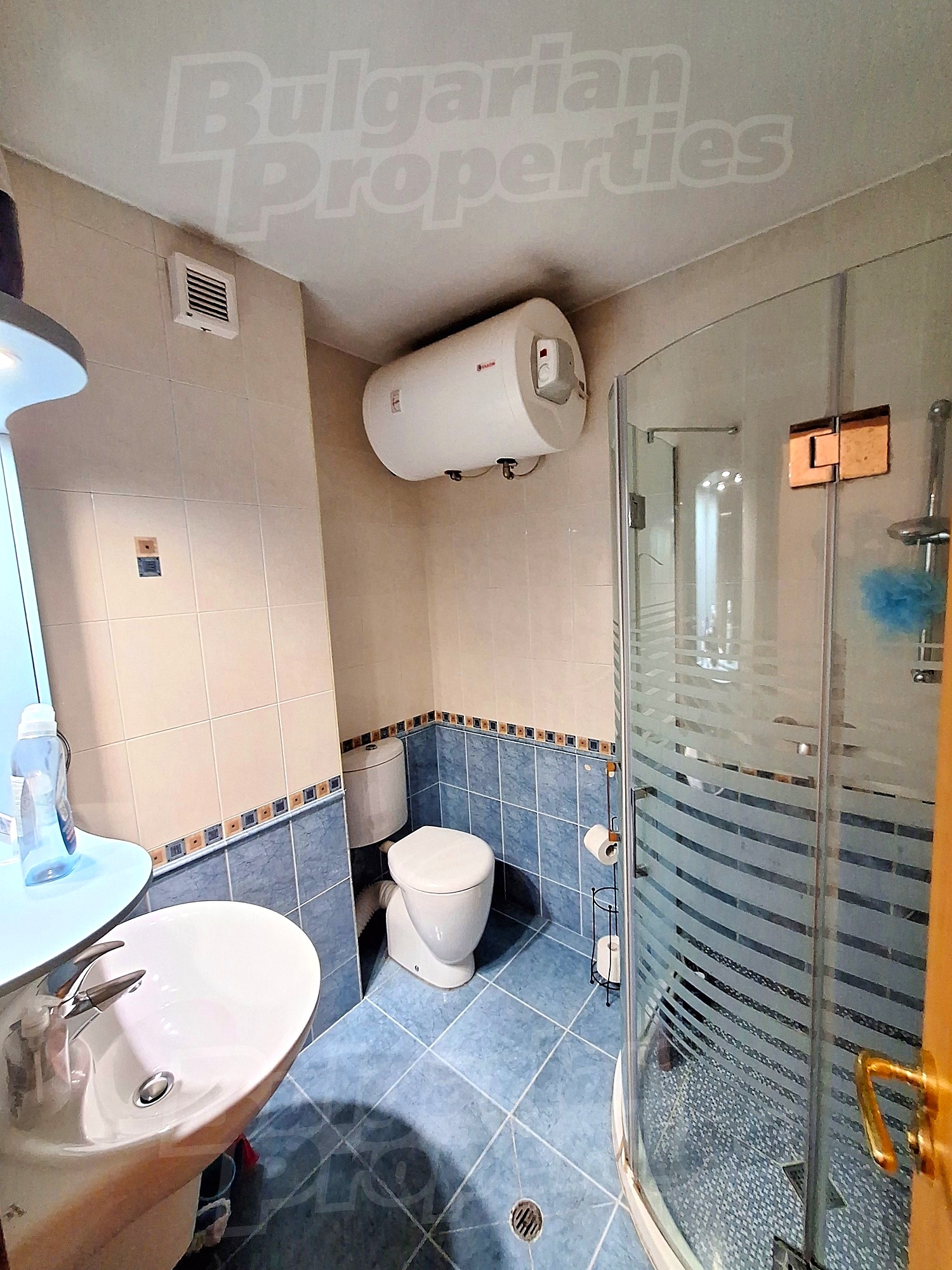 Gallery Picture 12