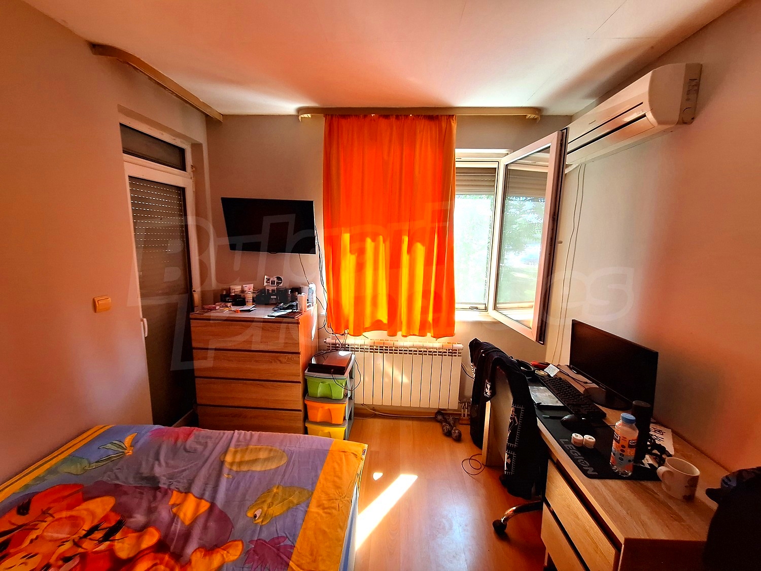 Gallery Picture 14