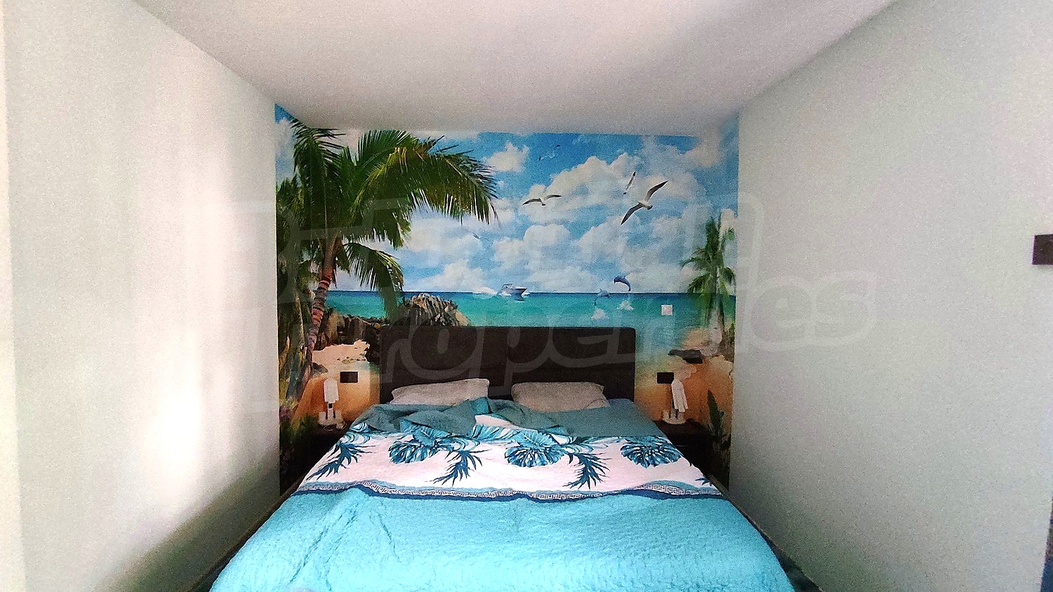 Gallery Picture 13