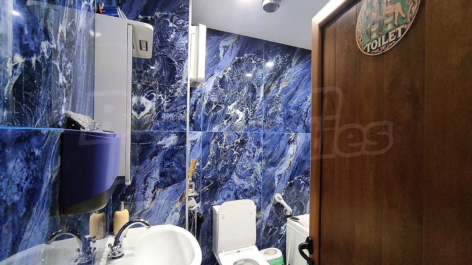 Gallery Picture 19