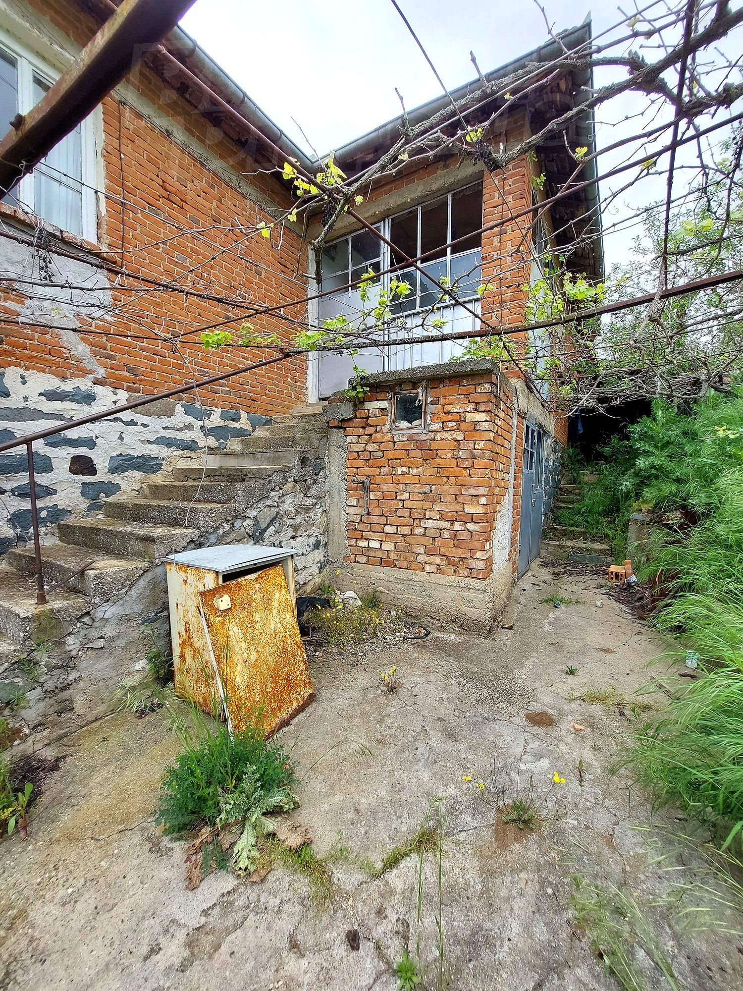 Gallery Picture 7