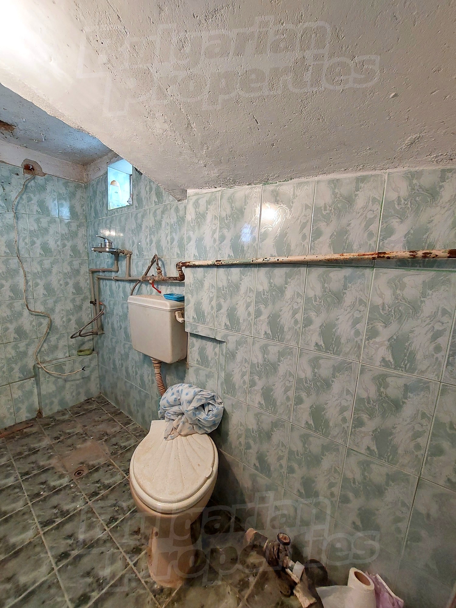 Gallery Picture 11