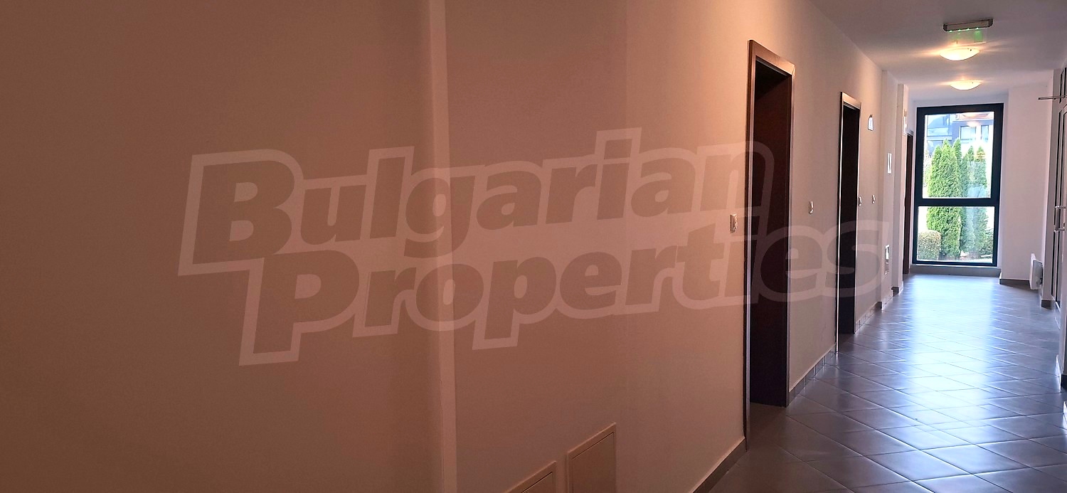 Gallery Picture 16