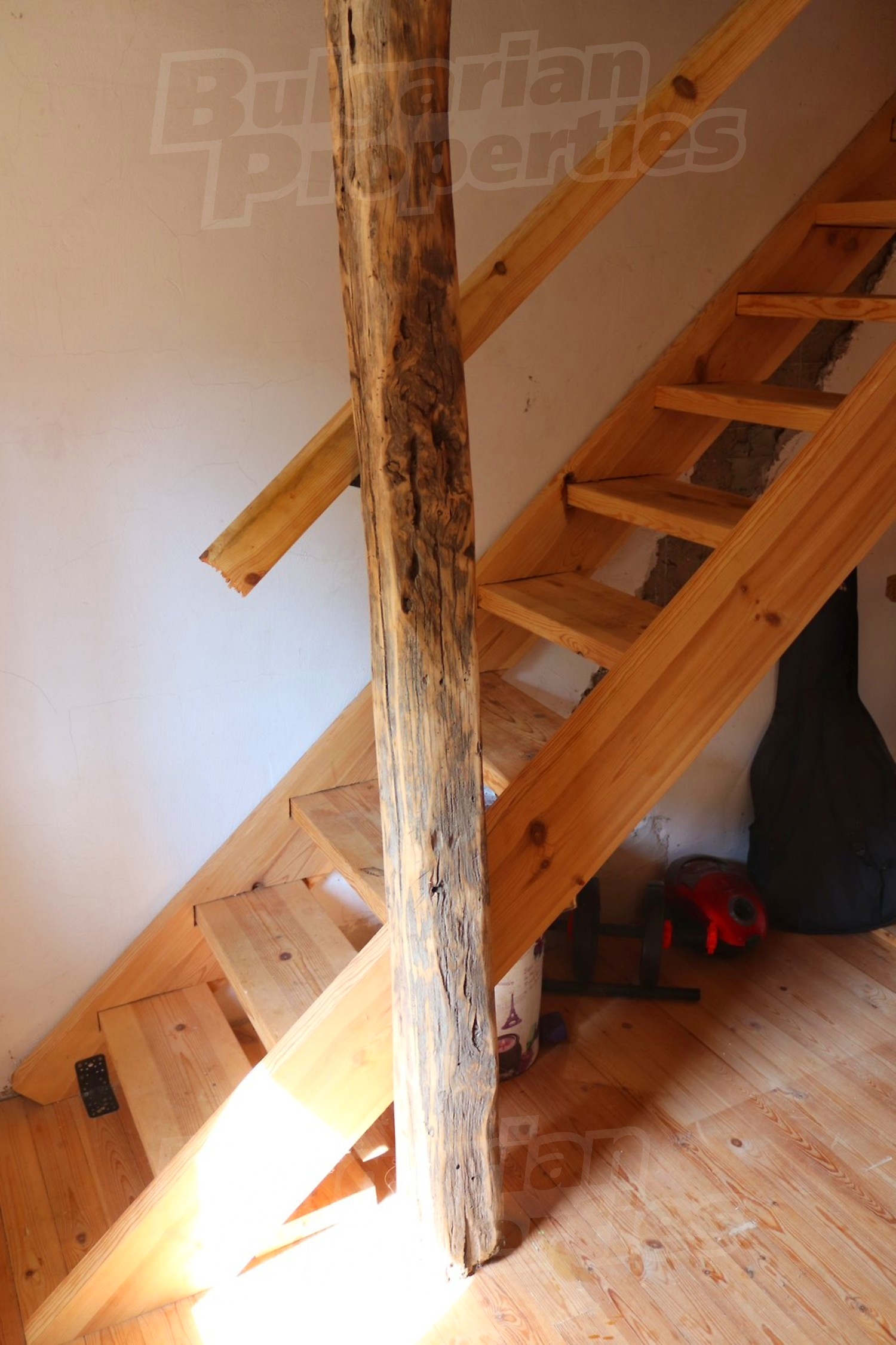 Gallery Picture 16