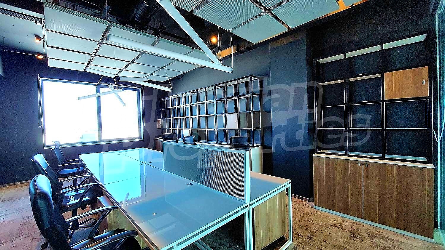 Gallery Picture 10