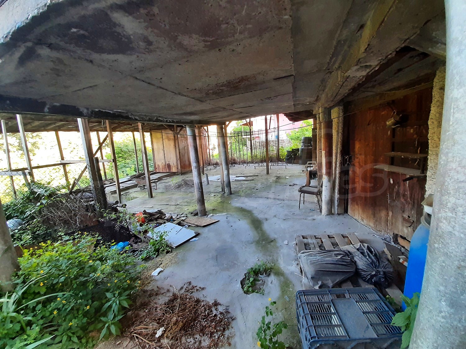 Gallery Picture 12