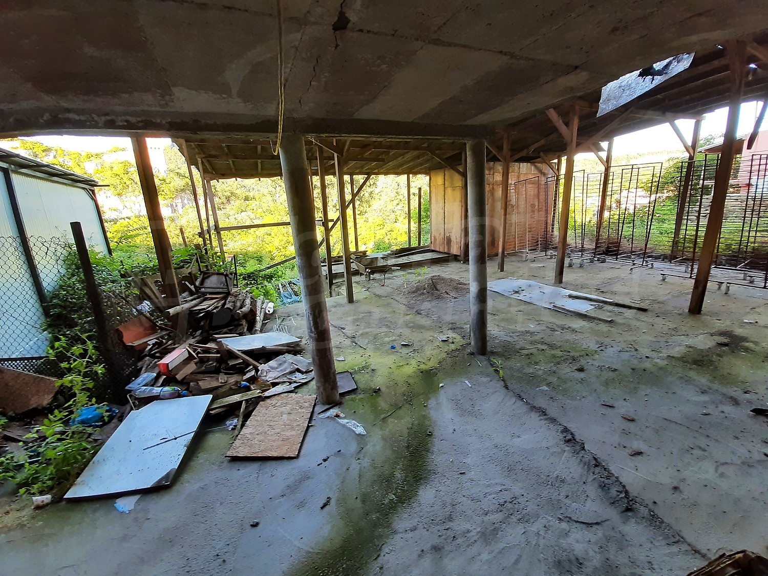 Gallery Picture 13