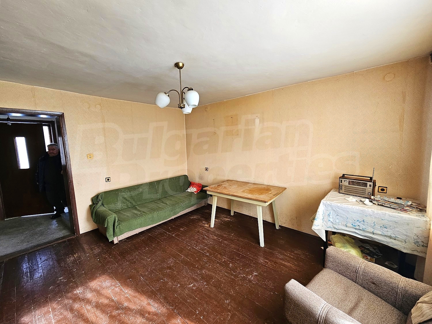 Gallery Picture 11
