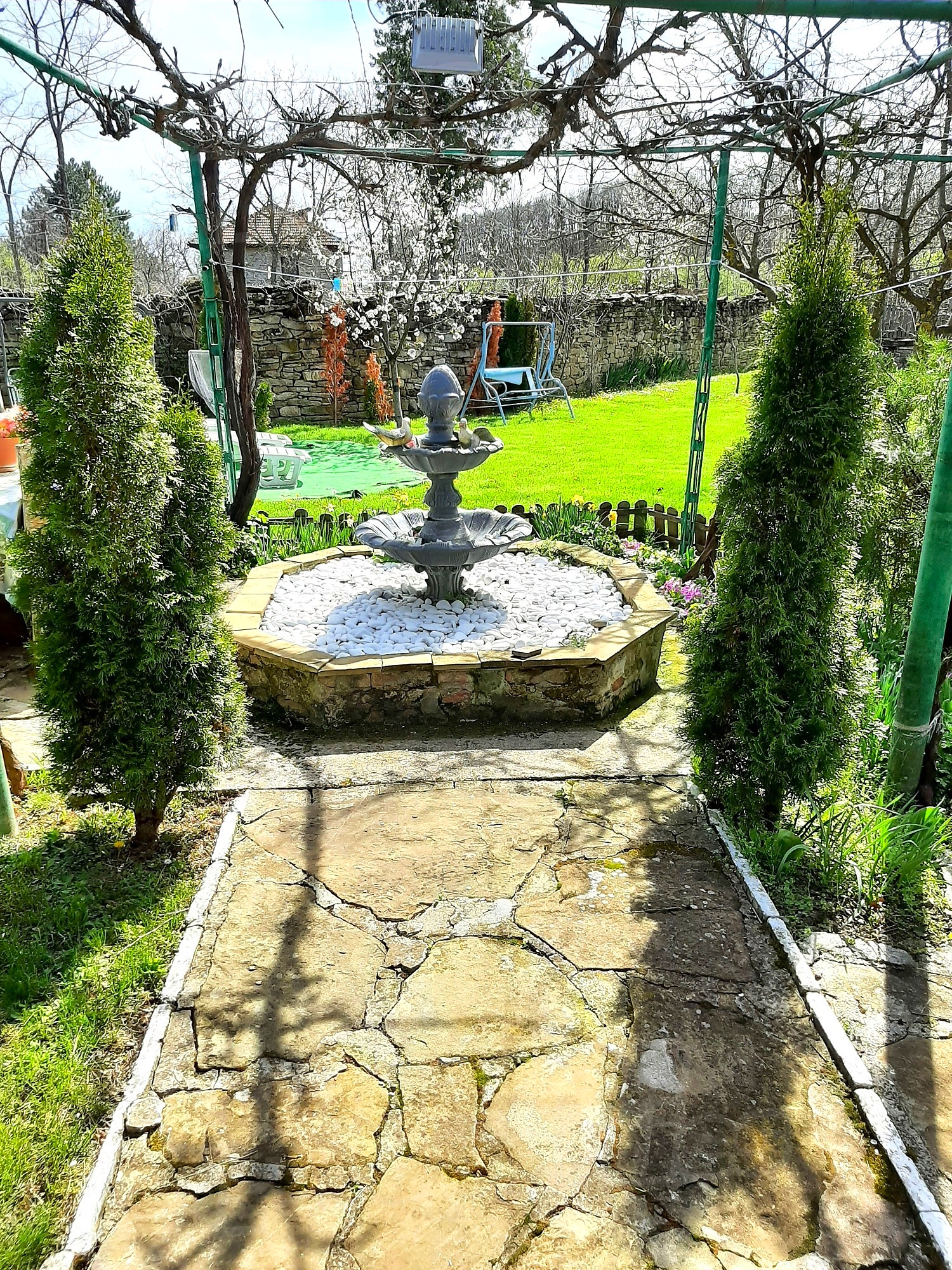 Gallery Picture 25