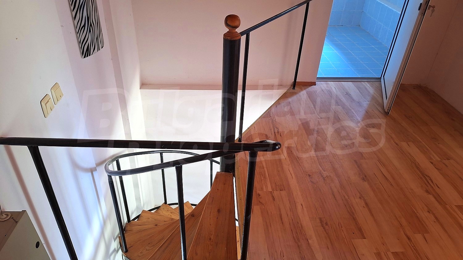 Gallery Picture 15