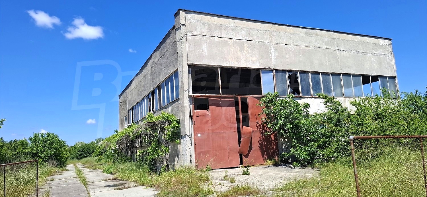 Gallery Picture 2
