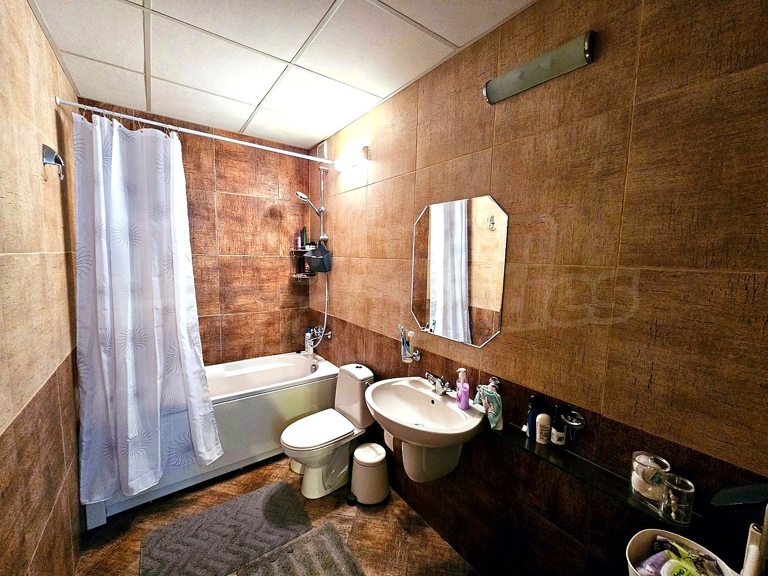 Gallery Picture 11