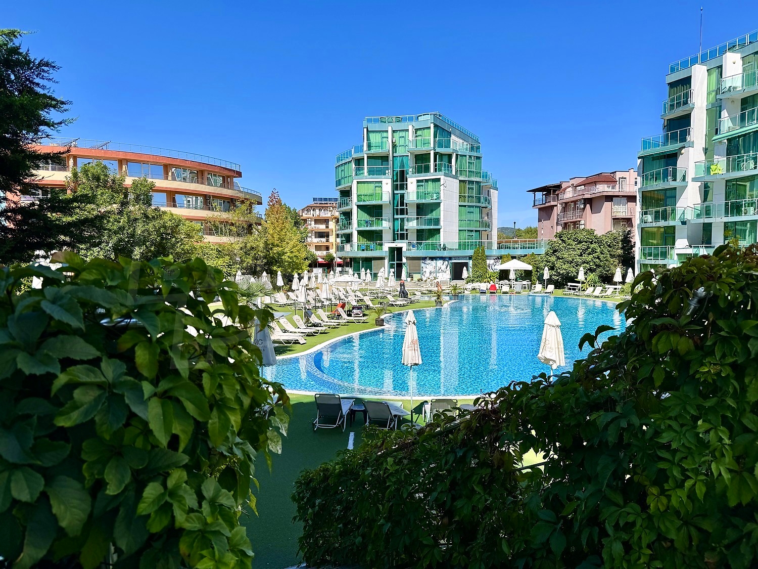 outside, pool, green area