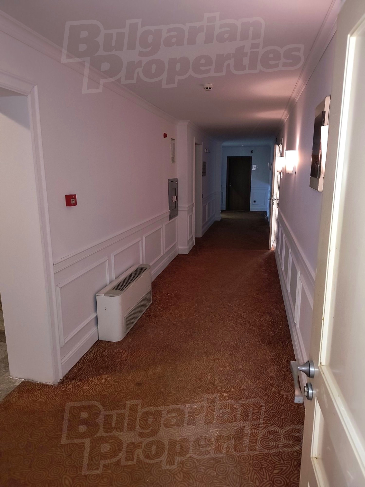 Gallery Picture 16
