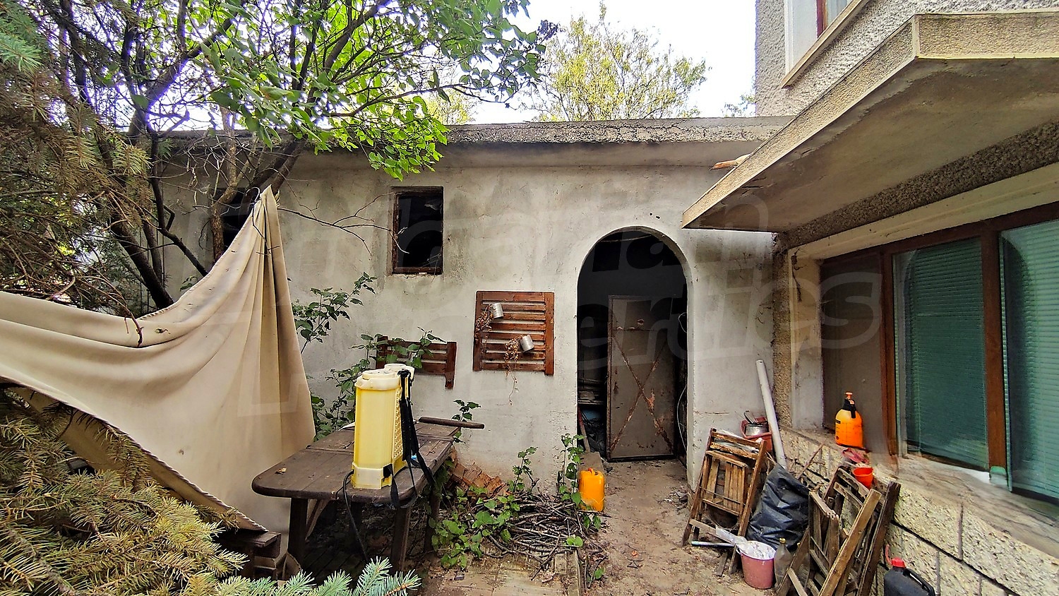 Gallery Picture 19