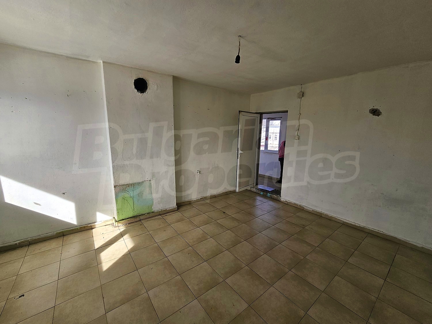 Gallery Picture 27