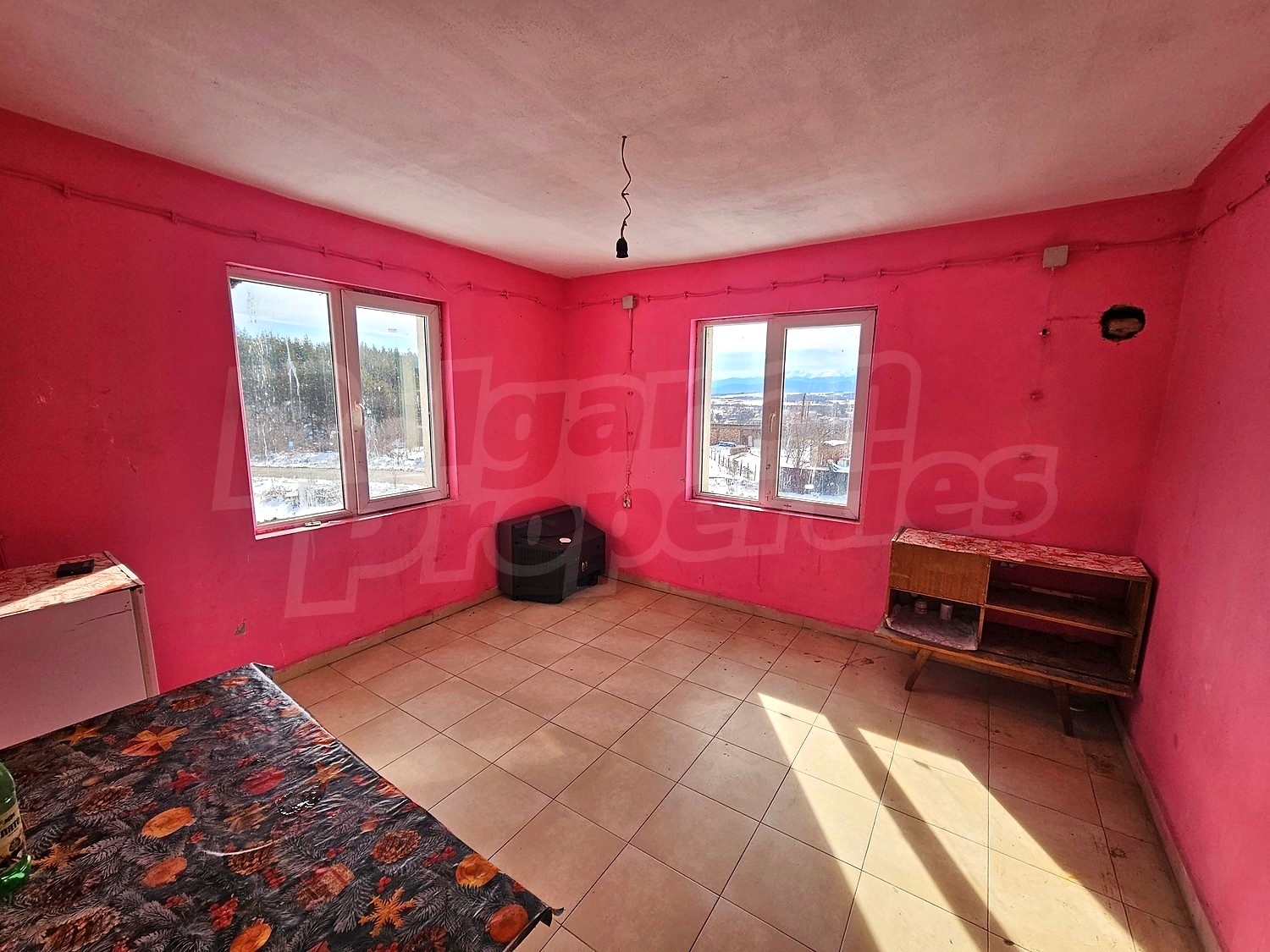 Gallery Picture 28