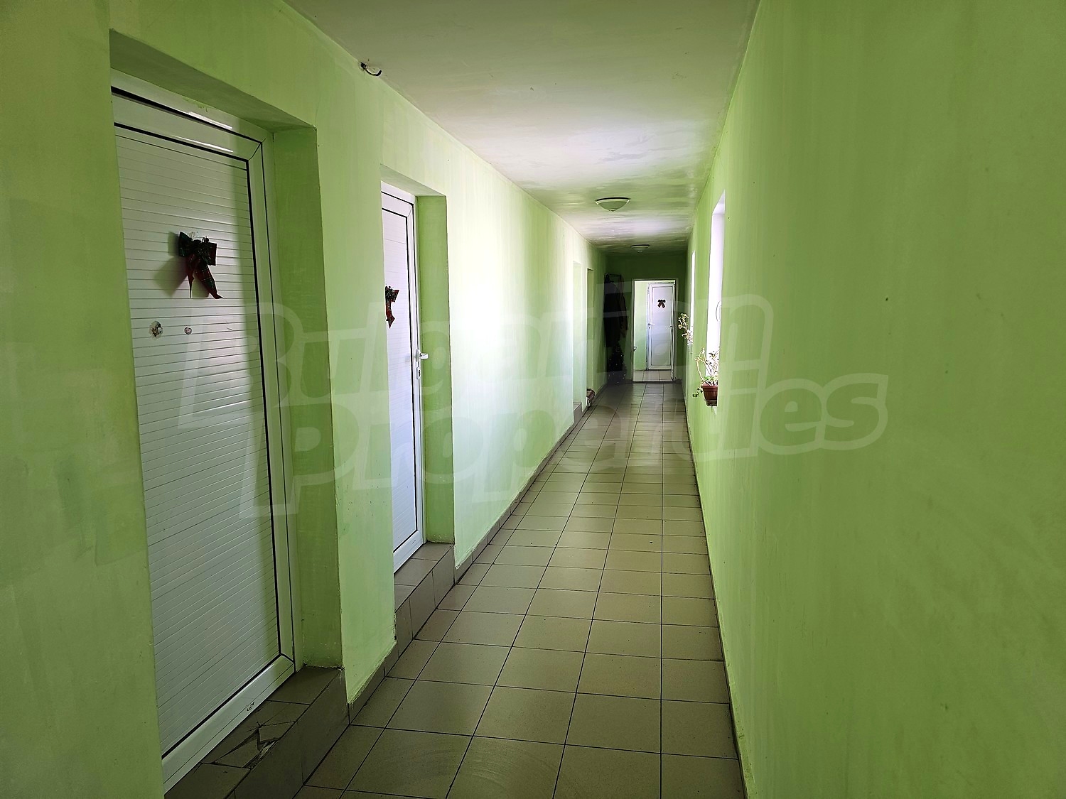 Gallery Picture 31