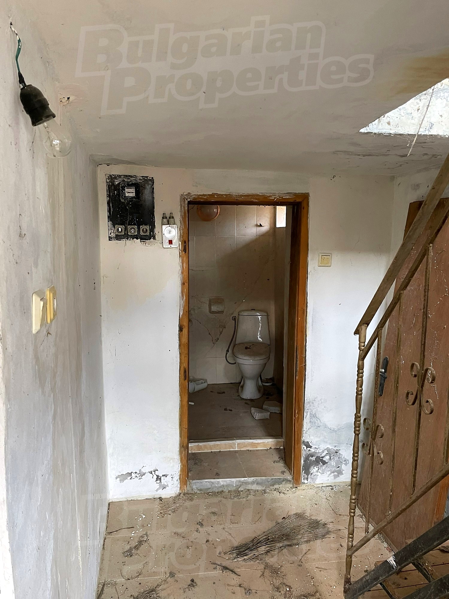 Gallery Picture 10
