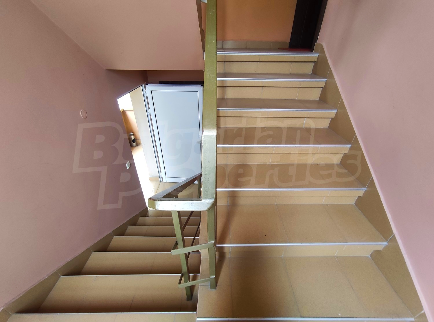Gallery Picture 38