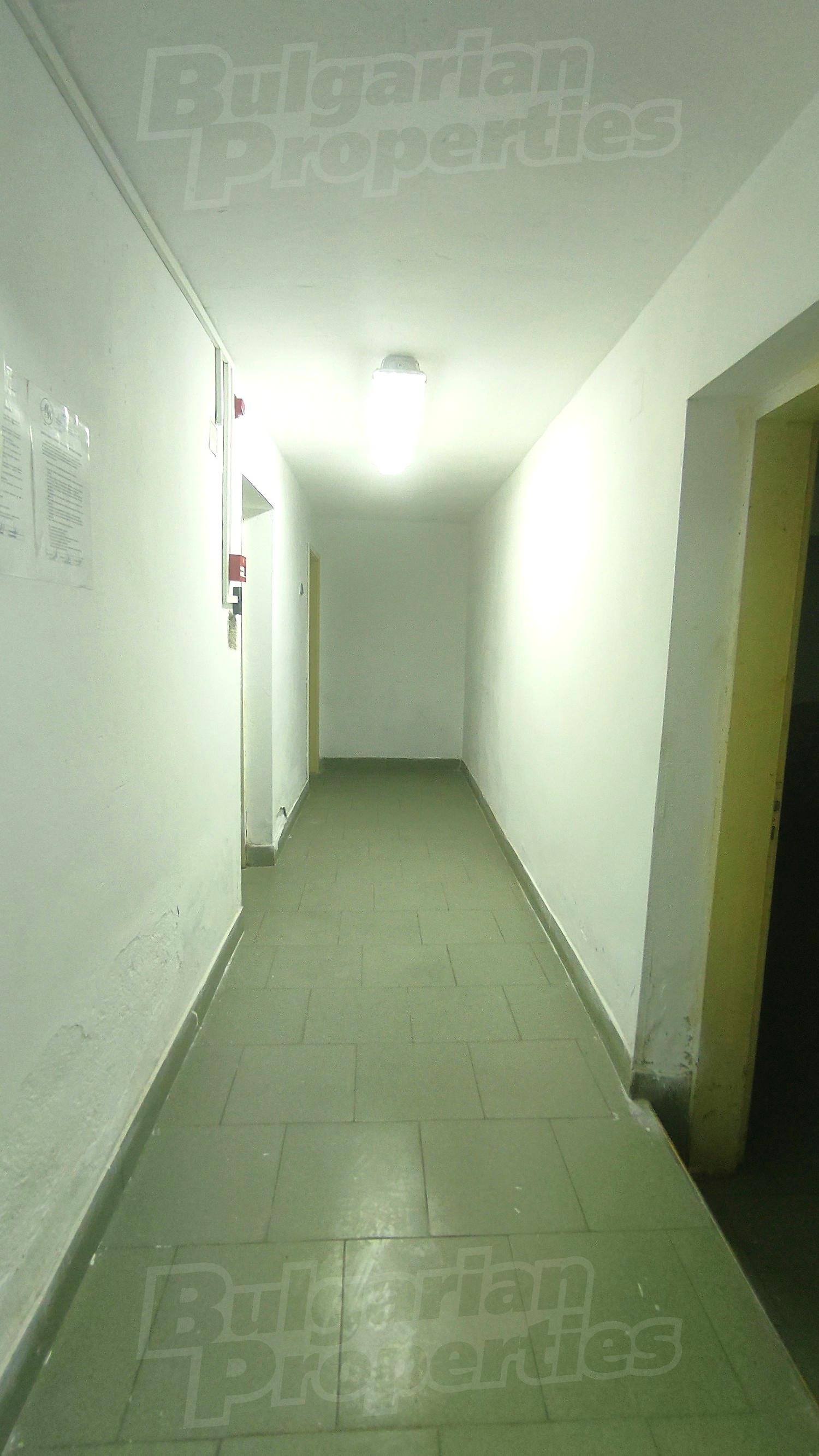 Gallery Picture 14