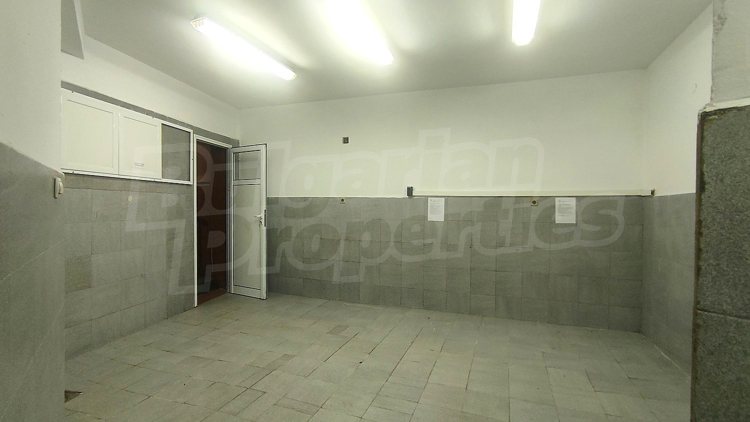 Gallery Picture 16