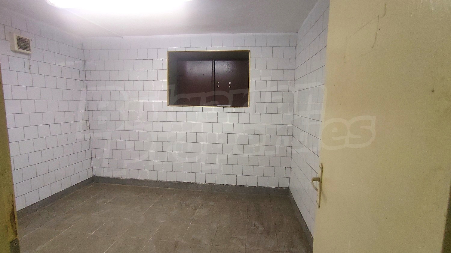 Gallery Picture 10