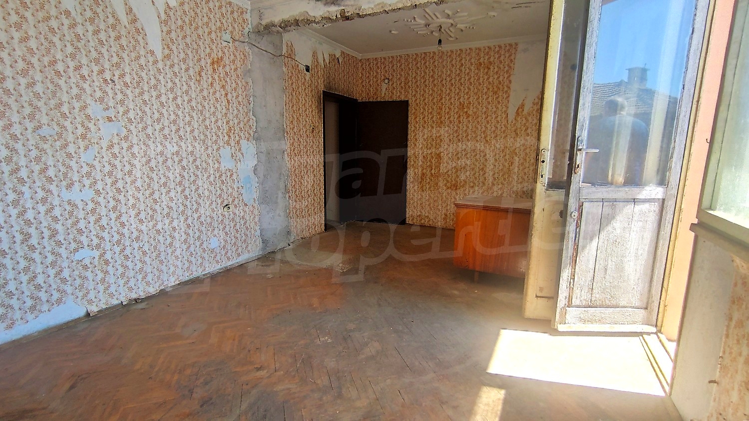 Gallery Picture 28