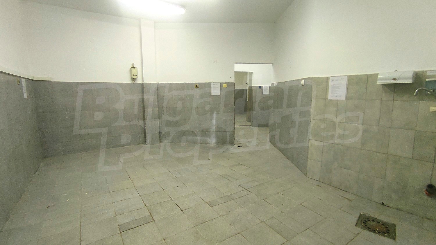 Gallery Picture 17