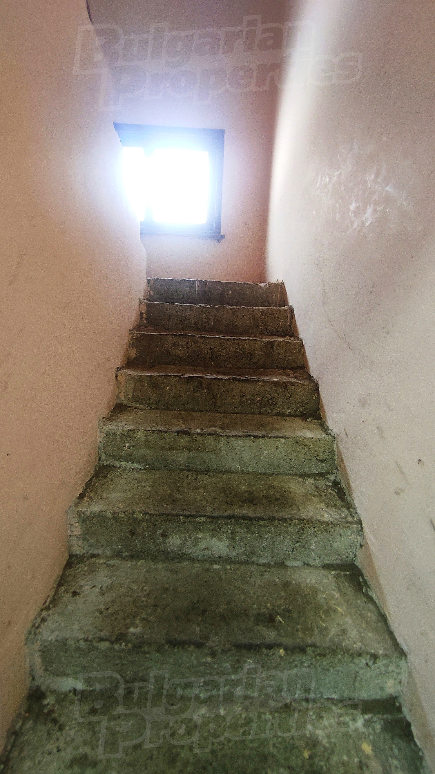 Gallery Picture 25